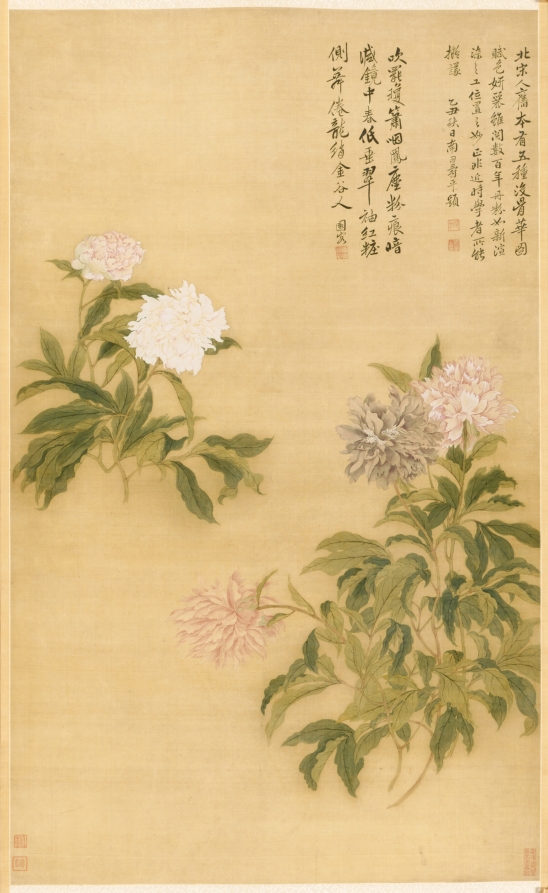 五色芍藥圖 · 惲壽平