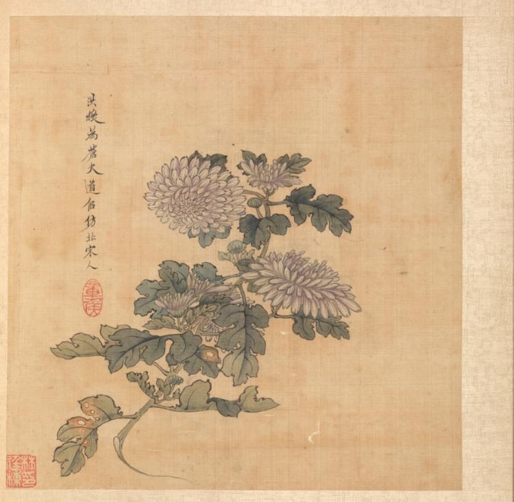 老蓮橅古: 菊花 · 陳洪綬