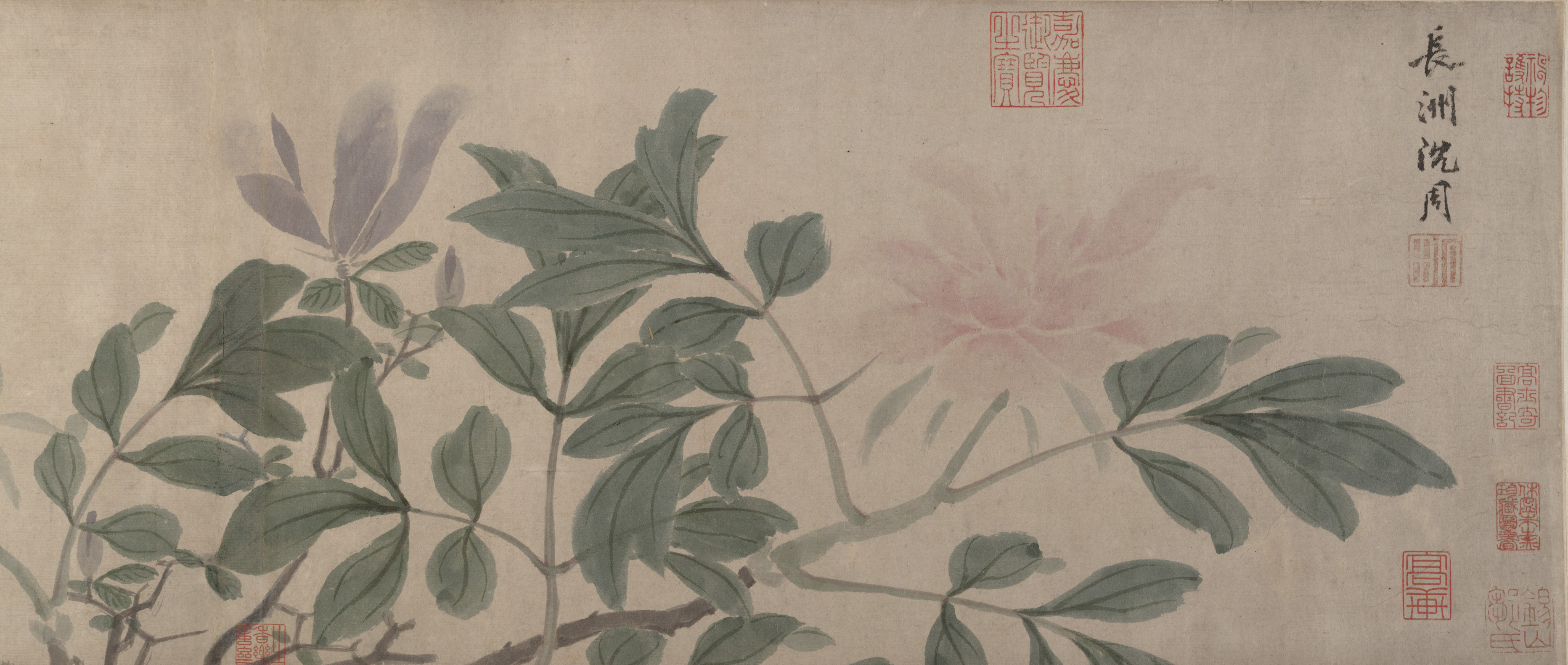 Flowers of the Four Seasons · Shen Zhou